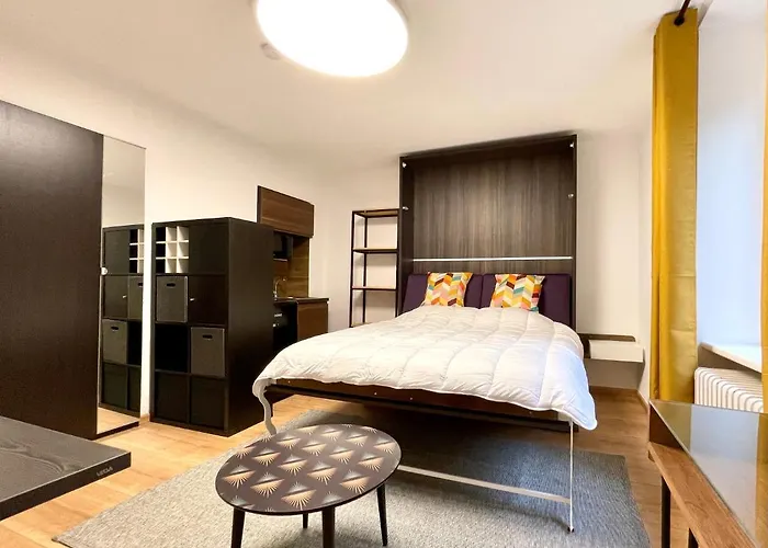 Apartament De La Petrusse *