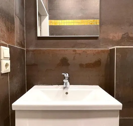 Apartament De La Petrusse *